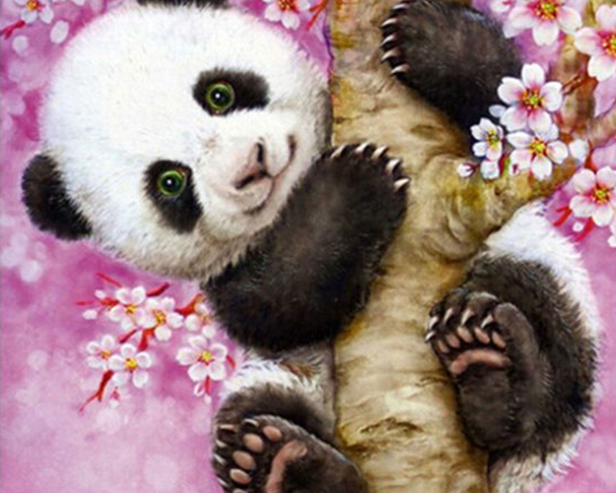 Pictura pe numere - Panda in ciresul inflorit
