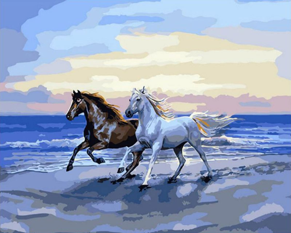 Pictura pe numere - Doi cai pe malul marii
