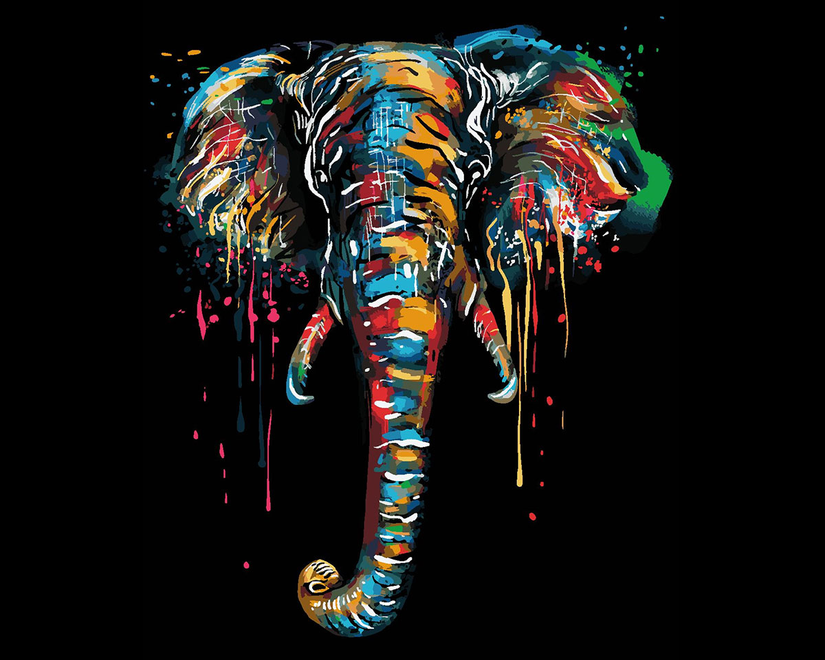 Pictura pe numere - Elefant colorat