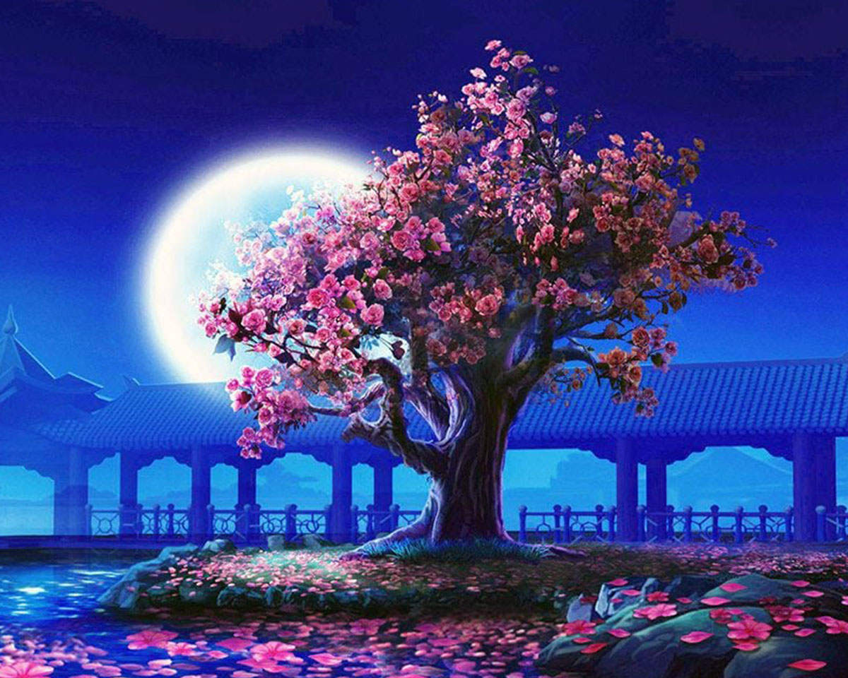 Pictura pe numere - Copac inflorit sub clar de luna