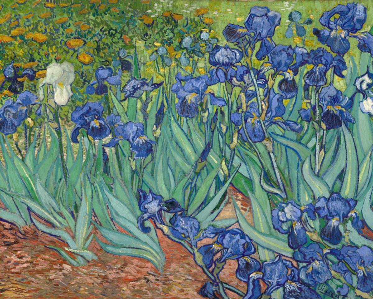 Pictura pe numere - Irisi Van Gogh